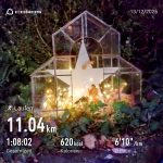 Bis zur Dämmerung…