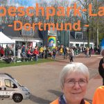 Hoeschpark-Lauf
