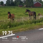Ohne Pferd und Wagen