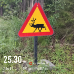 Vom Elch zum Rentier…