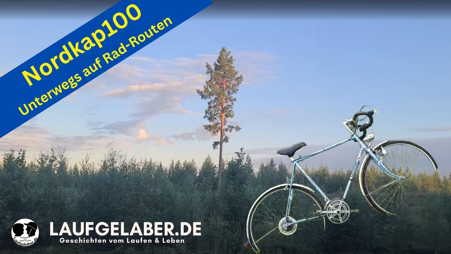 Landschaft mit Büschen und einer einzelnen hohen Fichte in der Mitte. Rechts ist ein Fahrrad eingeblende und links oben steht Nordkap100 Unterwegs auf Rad-Routen