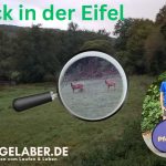 Zurück in der Eifel